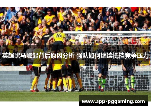 英超黑马崛起背后原因分析 强队如何继续抵挡竞争压力