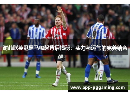 谢菲联英冠黑马崛起背后揭秘：实力与运气的完美结合