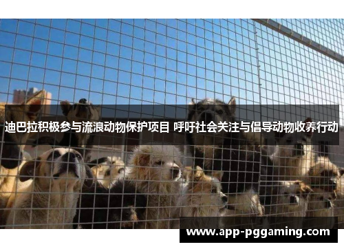 迪巴拉积极参与流浪动物保护项目 呼吁社会关注与倡导动物收养行动