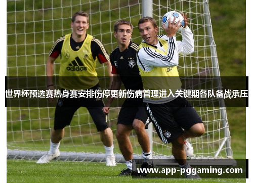 世界杯预选赛热身赛安排伤停更新伤病管理进入关键期各队备战承压