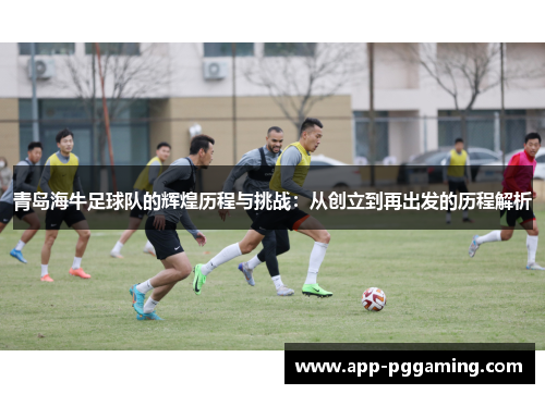 青岛海牛足球队的辉煌历程与挑战：从创立到再出发的历程解析