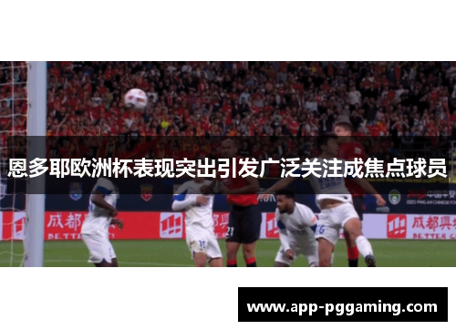 恩多耶欧洲杯表现突出引发广泛关注成焦点球员 恩多耶欧洲杯表现突出引发广泛关注成焦点球员